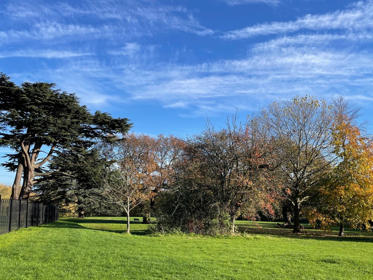 Looking back on&nbsp;2022