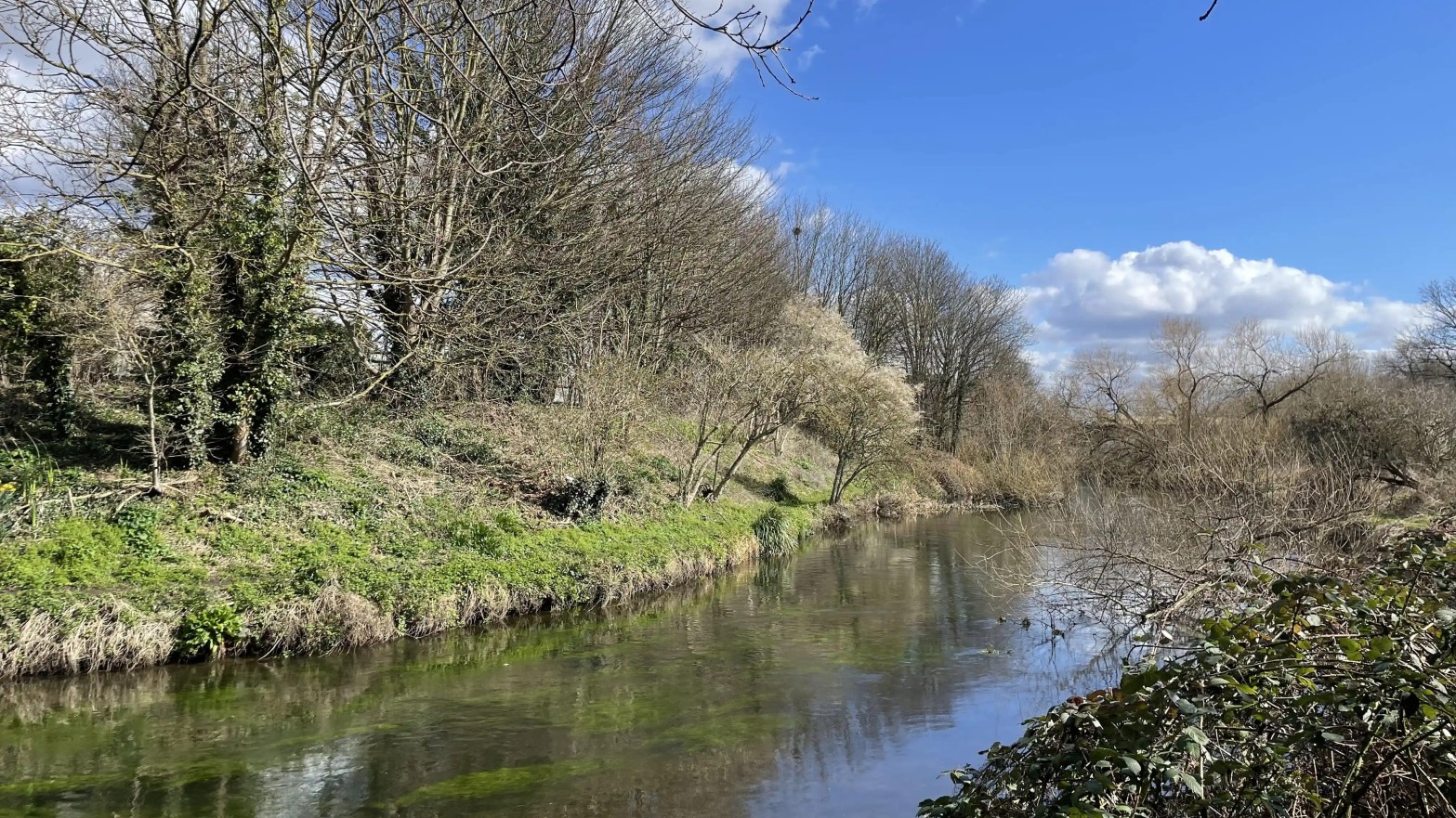 Bend in the river on a sunny day under a blue sky