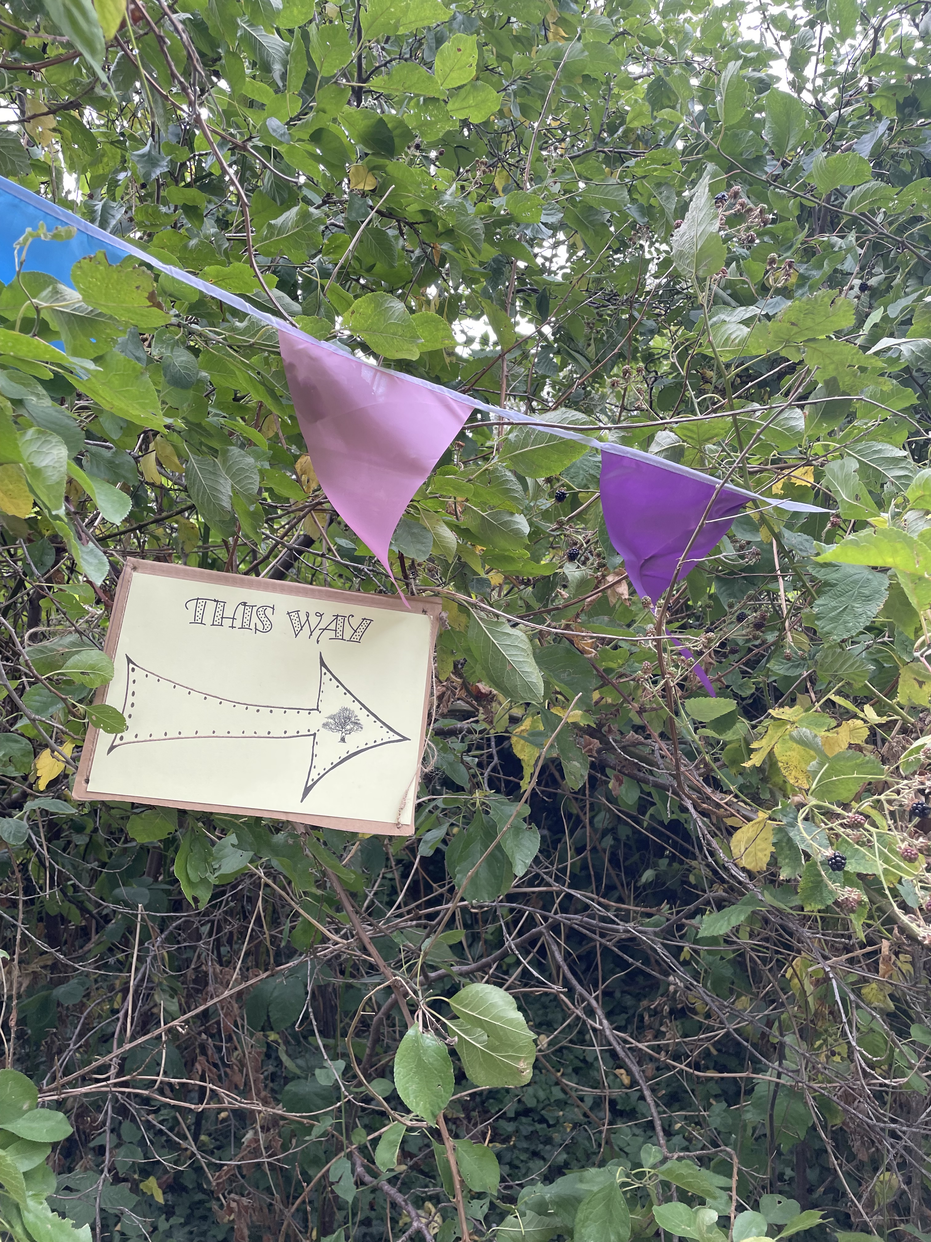 Bunting and an arrow that says 'this way'point hanging on bushes to the right