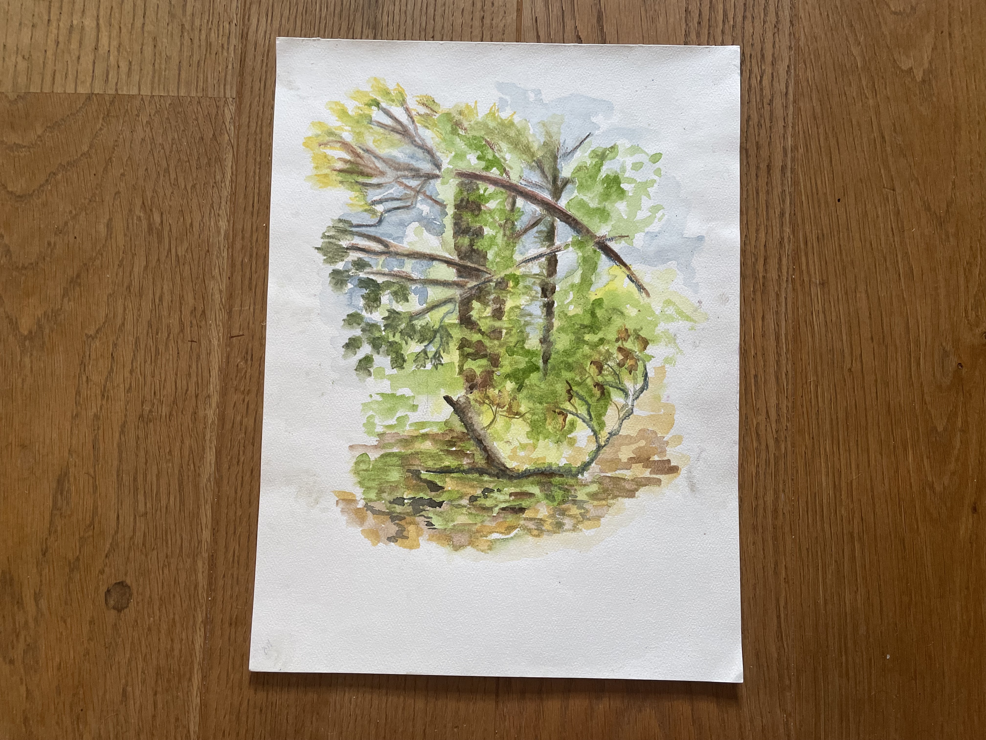 A watercolur study of trees on a dappled brown foreground with peeps of blue sky. A network of branches create a frame at the centre of the painting