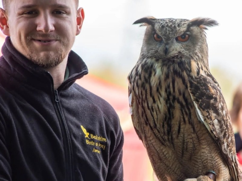 🦉Hoot in the&nbsp;Park