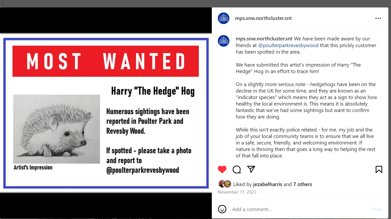 Screen grab of instagram post of Most Wanted poster for Harry "the Hedge" Hog including an artist's impression sketch. Image links to Instagram post