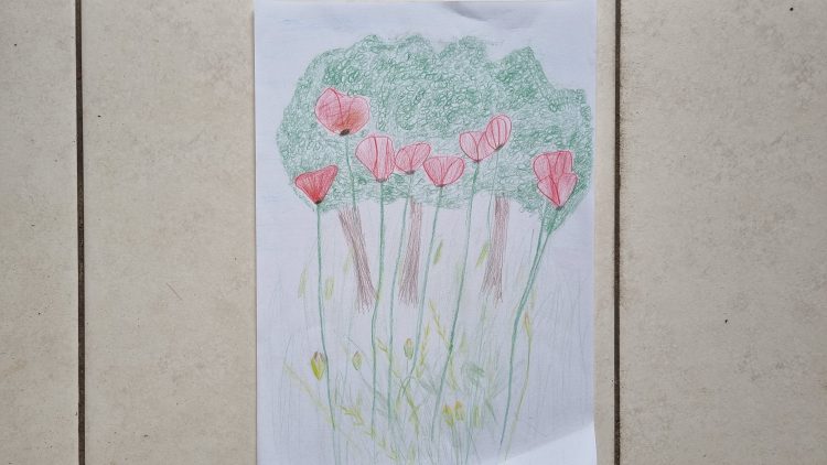 bug's eye view of red poppies in a meadow with a tree in the background