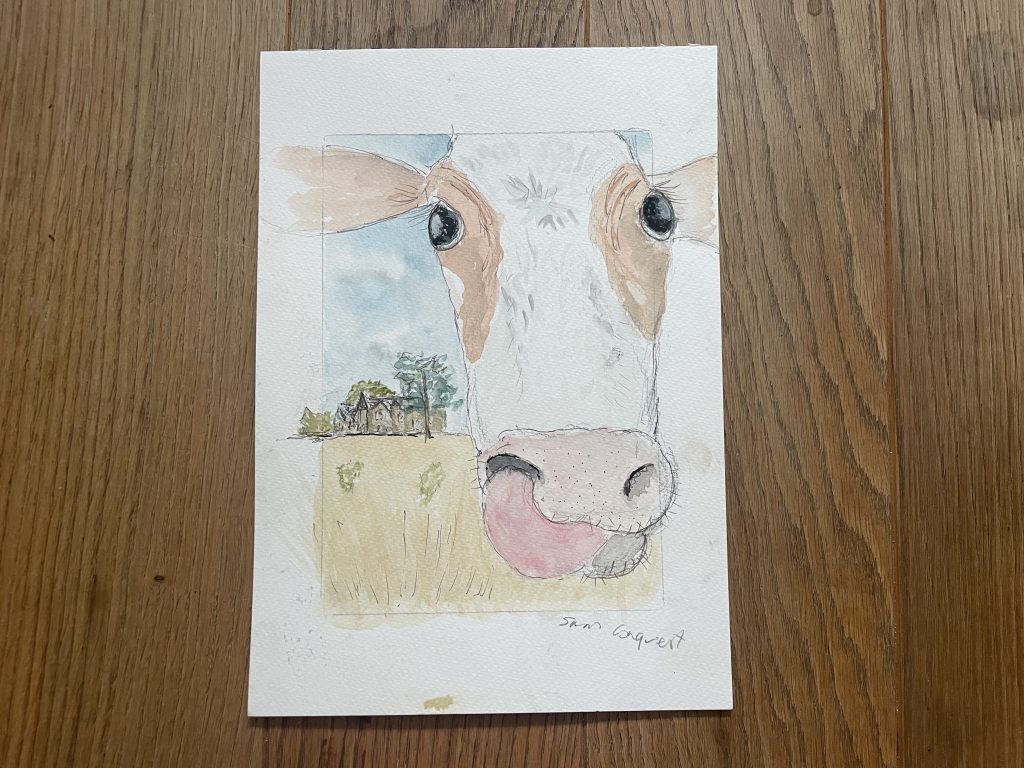 Pencil and watercolour drawing of a cow's face with Bishopsford House in the background.