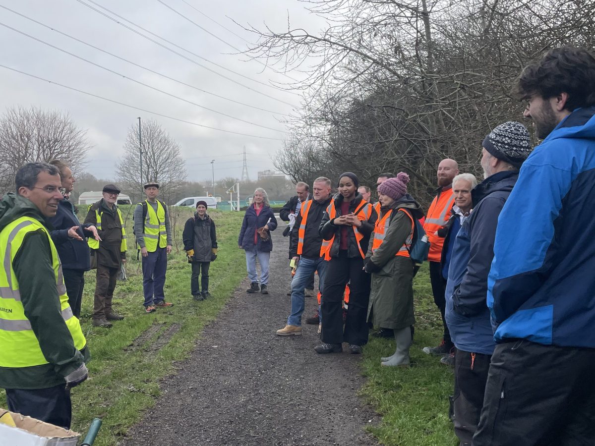 Conservation in Revesby&nbsp;Wood