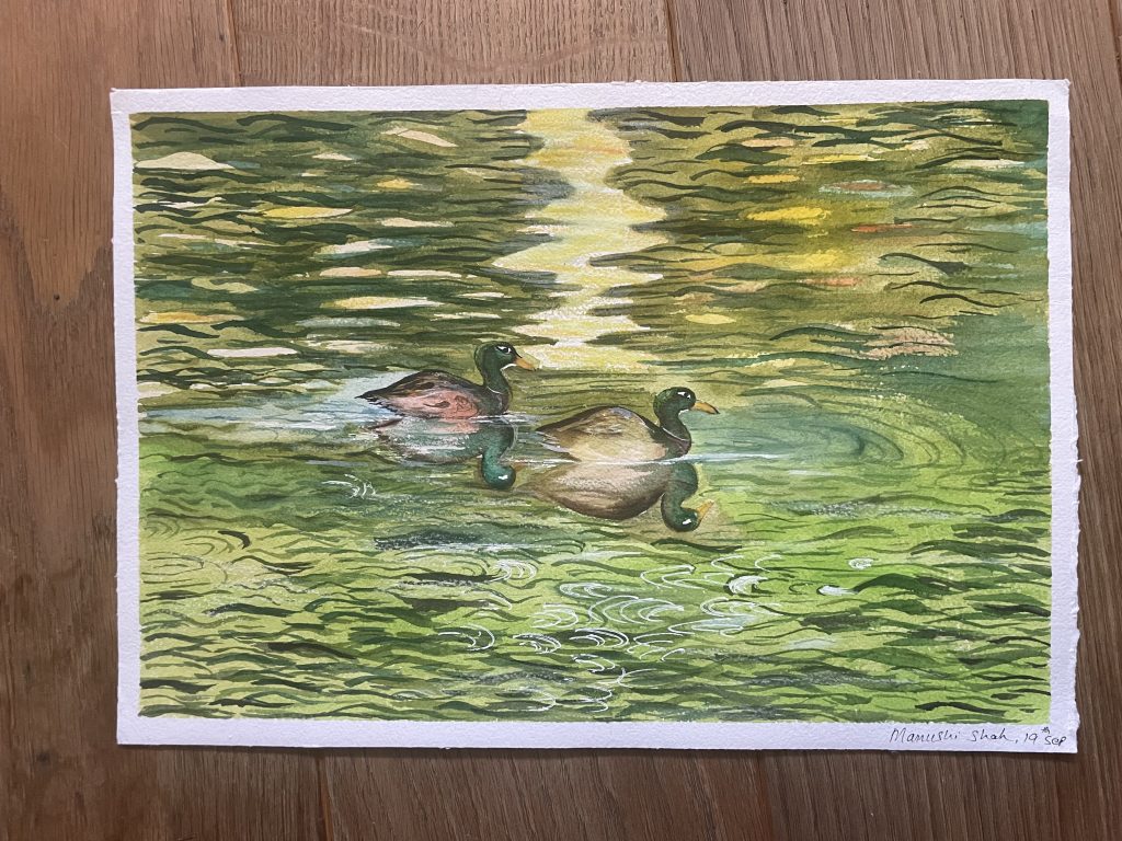 Pair of mallard ducks on swirling green water reflecting the leaves and sunlight
